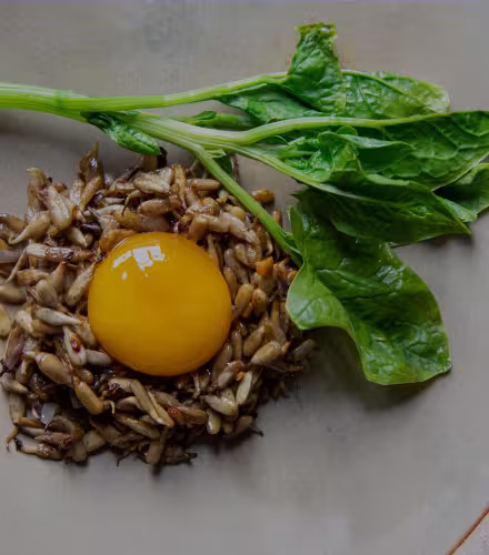 La recette des oeufs marinés aux bières et graines de tournesol du chef étoilé Florent Ladeyn