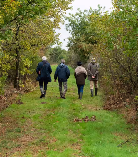 Visiteurs Zone humide - brenne