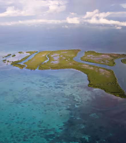 Vue aérienne des mangroves au Belize