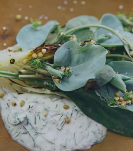 Recette de laitue poêlée et son yaourt au chèvre aromatisé aux herbes