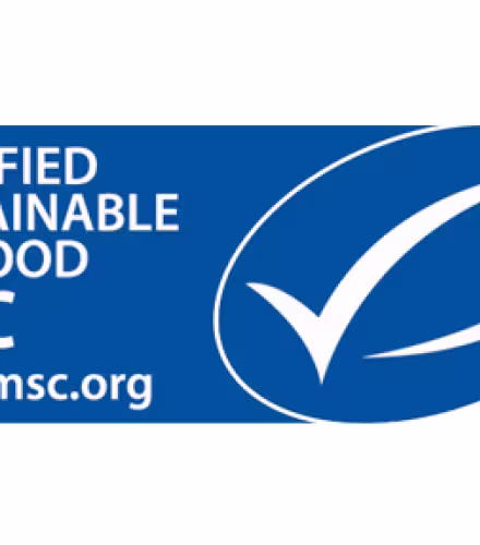 Logo MSC