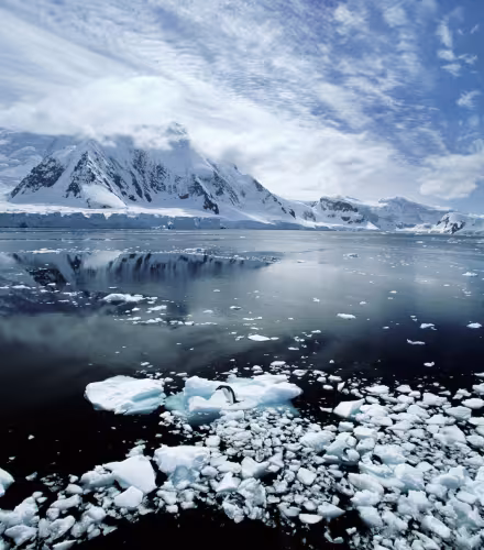 Paradise Bay (Antarctique)