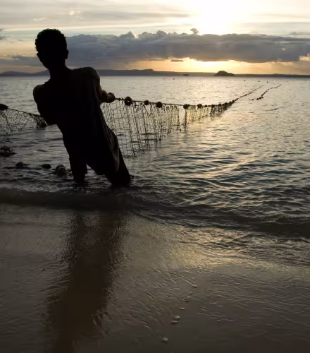 Des pêcheurs sortent leurs filets de l'eau au crépuscule, plage de Ramena à Antsiranana, Nord de Madagascar
