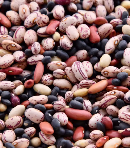 Des légumes secs en vrac