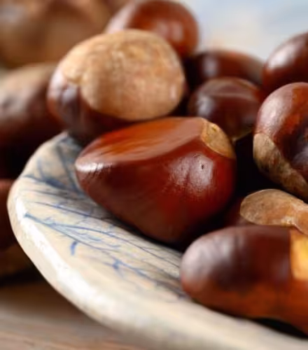 Recette de tajine aux châtaignes